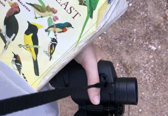 Here we have identified and documented birds and butterflies