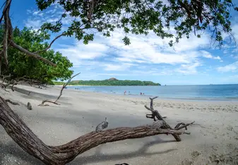 Costa Rica Beach