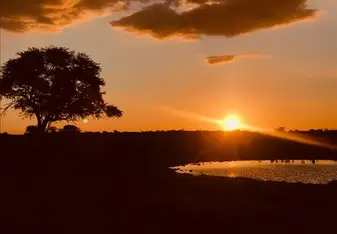 Sunset at the waterhole in Etosha