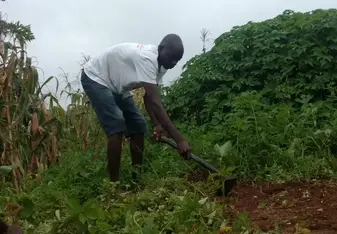 Farmers Club