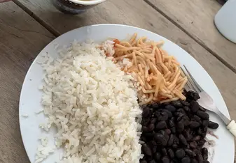 Food from sea turtle camp