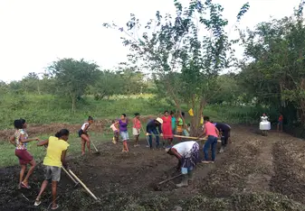 Implementation of the gardens
