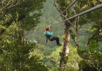 Ziplining! A fun experience that our program put on.