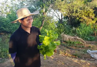 Harvest