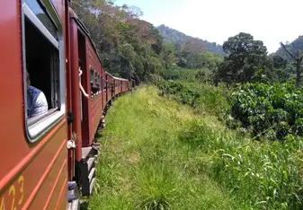 Train journey into the tea estates 