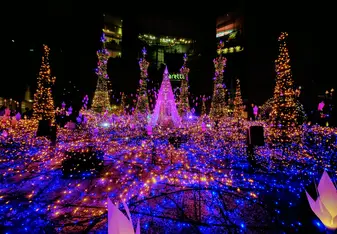 I went to see one of the prettiest Christmas illuminations :)