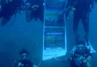 Team Dive!