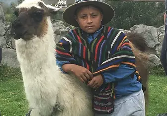 This boy stood outside with his llama to take pictures with people. We stopped here for some delicious Ecuadorian dessert on our way to the biggest market in the country