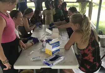 Malaria testing