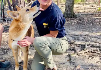 The Dingos were the sweetest