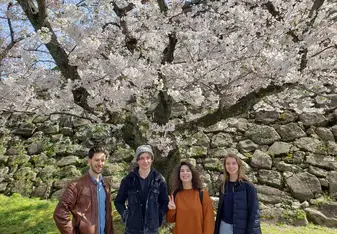 Sakura Season 