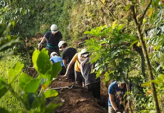 Digging pipelines