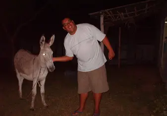 Laska (Our common Donkey)