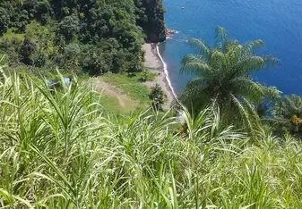 The sea
