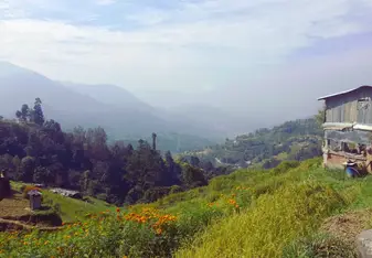 Looking out to misty mountains; there is a tiny white house on a green hill with yellow flowers on the right side of the photo