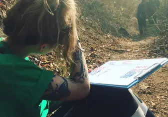 Data Entry