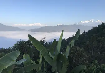 The views 