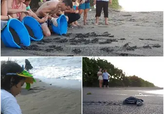 Beaches