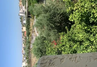 Our view from the balcony