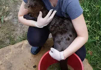 playing with Daniel