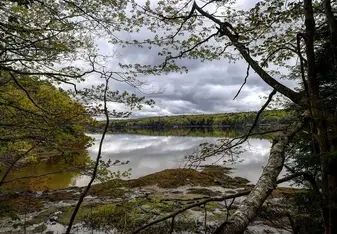 Nature 