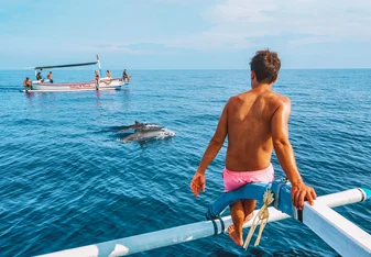Dolphin Spotting in Lovina