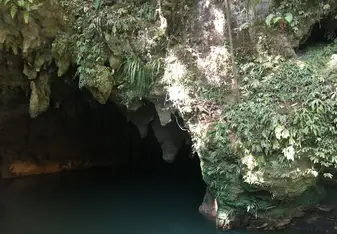 A cave we toured on the North Island