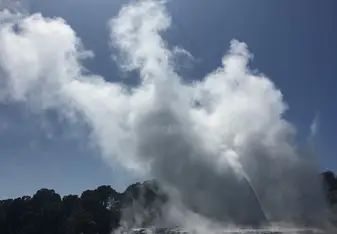 Rotorua Geyser