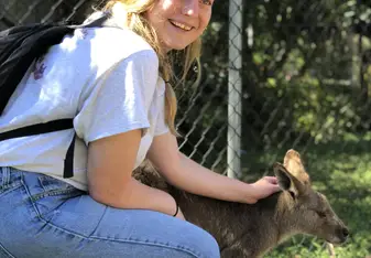 Up close look at Kangaroo Joey at the Lone Pine Koala Sanctuary 