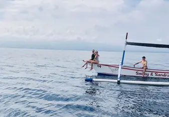 Dolphin watching 