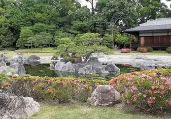 Japanese garden