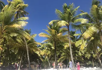 The beautiful Saona island in the Dominican Republic!