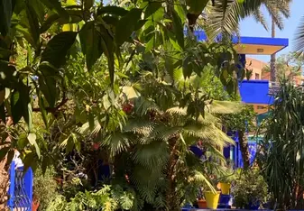 Moroccan garden with pool, blue buildings, and lush vegetation 