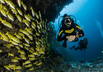 PADI Scuba Qualification