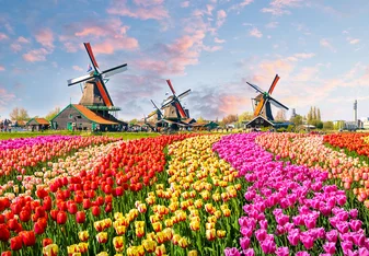 CIEE College Study Abroad in Amsterdam, Netherlands
