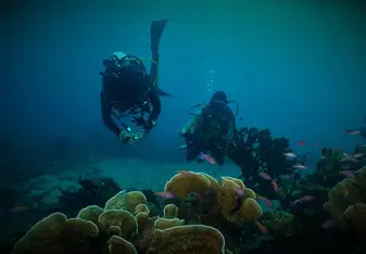 Two scuba divers by a reef.