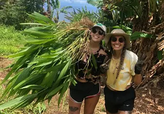 forest restoration with local non-profit