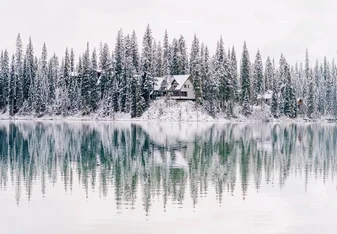 Emerald in the Winter