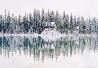 Emerald in the Winter