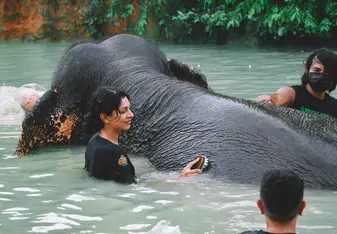 woman with elephant in Thailand