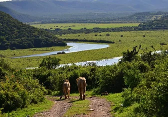 Southern Africas Landscape