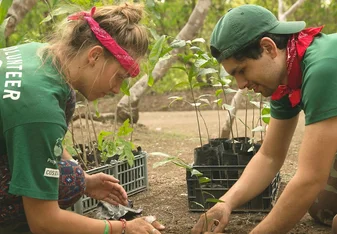 Volunteer planing trees in Costa Rica