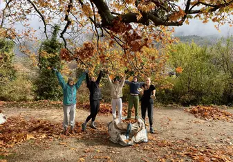 study abroad students playing in fall leaves
