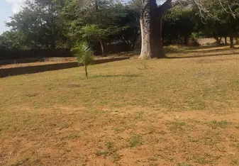 Conservation of the Boabab Trees in Kilifi