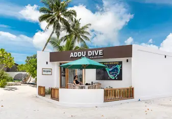 ADDU DIVE  