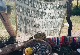 Juyjuy