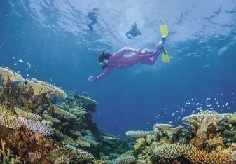 TEAN: Study Abroad in Townsville, Australia