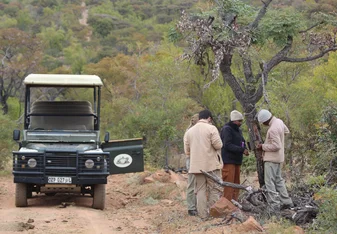 Camera trap surveying