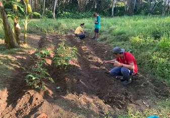 Permaculture