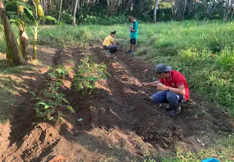 Permaculture